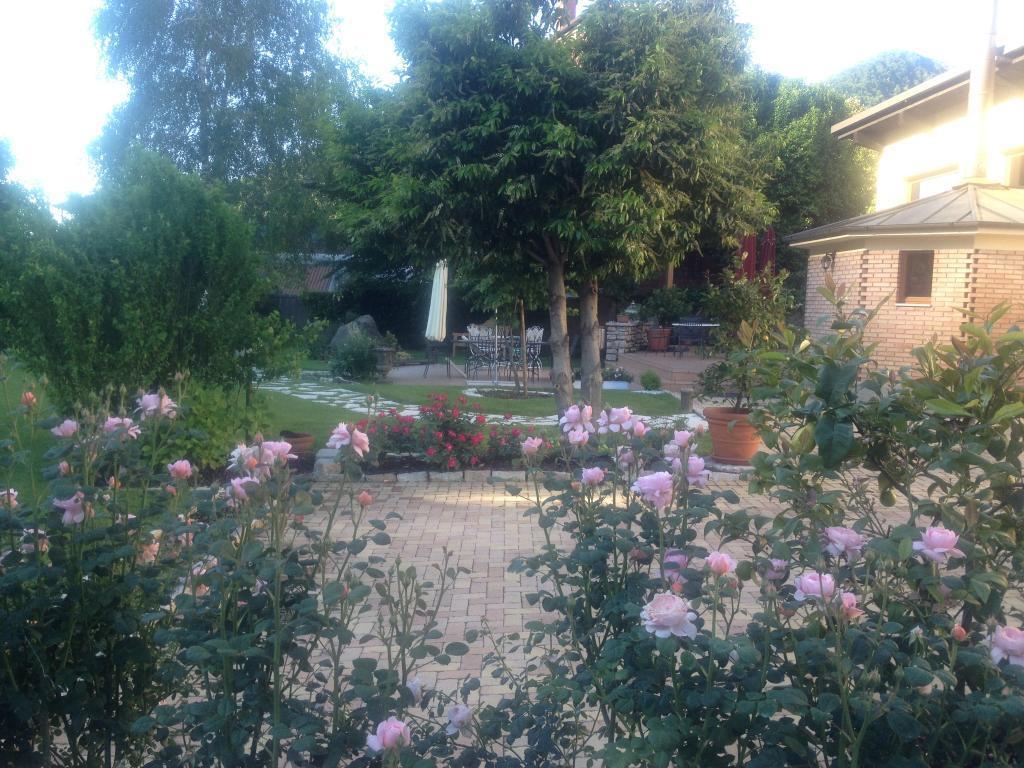 Hotel Calvi-Ristorante Mainor ヴィットリオ・ヴェネト エクステリア 写真