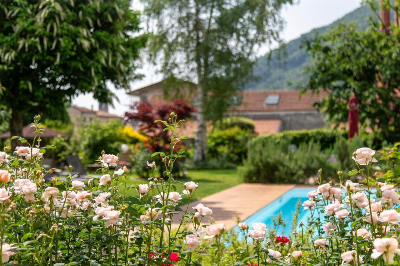 Hotel Calvi-Ristorante Mainor ヴィットリオ・ヴェネト エクステリア 写真